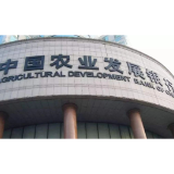 农发行汨罗市支行：数字化时代带来新体验，精细化管理成就新发展