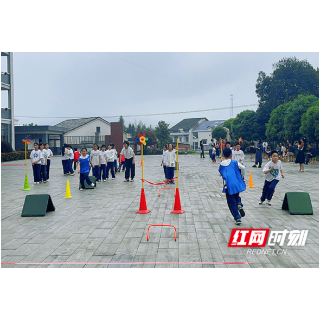 岳阳楼区花板桥学校组队送教平江县栗山小学