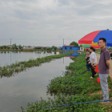 岳阳之为⑪丨湘阴：碧水浇灌出幸福生活