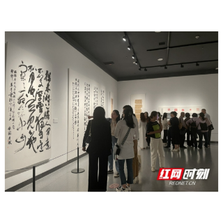 “双展”开幕！来岳阳市美术馆赴一场青年艺术的“饕餮盛宴”