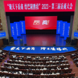 天下岳商聚巴陵⑤丨嘉宾代表共叙乡情共话发展