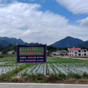 平江县：突出四“联” 乡村振兴风正扬