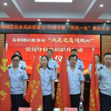 铿锵誓言，税心向党！岳阳楼区税务局启动“党员意识身份提升”行动