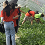 “星火”走进屈原，绽放青春光芒