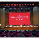 岳阳市美术家协会新一届理事会和监事会产生 戴剑当选主席