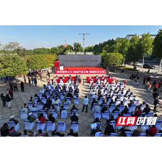 讲好粮安故事 传播粮安声音 颂扬粮安典型 汨罗开展“粮安记者行”活动
