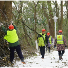 迎战大寒潮丨岳阳楼区：众志成城再战雨雪