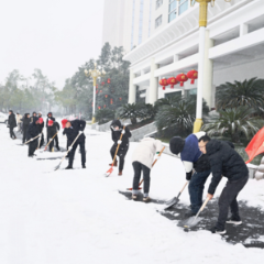 雪中见温情 政协勇担当 岳阳市政协系统积极参与清障扫雪除冰行动