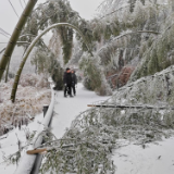 临湘羊楼司镇：8小时山路寻乡亲 踏破冰雪护安宁