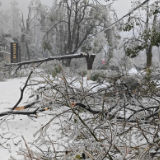 组图丨临湘：五尖山遭遇有史以来最大的雨雪冰冻灾害天气