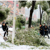 组图｜以“雪”为令，岳阳经开区积极迎战低温雨雪冰冻天气