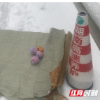 这份“双向奔赴”的温暖足以化冰雪