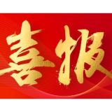 喜报！华容县人民检察院第一检察部荣获岳阳市三八红旗集体