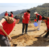 栽种绿意 散播春意——汨罗市人民检察院开展义务植树活动