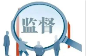 岳阳市水利局开展“洞庭清波”常态化监督检查工作