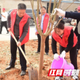 种下一片绿色，收获满心欢喜——新港区开展植树节暨雷锋日主题活动