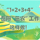 一图看懂 | “1+2+3+4”2024年岳阳“三农”工作这样做！