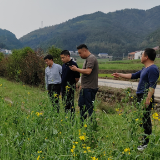 平江县：大风、冰雹、短时暴雨等极端灾害天气，大部分早稻秧田、油菜等受灾严重