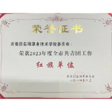 共青团岳阳职业技术学院委员会荣获2023年度全市共青团工作红旗单位