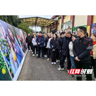 “一辈子跟党走”！岳阳楼区纪委监委机关党委开展主题党日活动