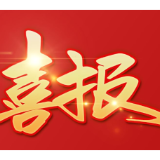 喜报！临湘市人民检察院办公室荣获临湘市“三八”红旗集体称号！
