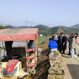 不负春光 | 临湘市五里牌街道：比学赶超助春耕