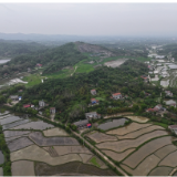 遥望洞庭山水翠——岳阳全力推进矿山生态修复纪实