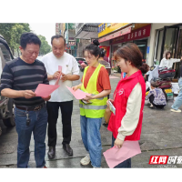 岳阳经开区通海路管理处:提升防灾减灾能力 助力优化营商环境