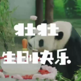 视频 | 壮壮，生日快乐！