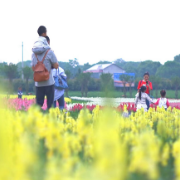 视频丨五一一站式看景遛娃就去岳阳湘阴洋沙湖