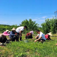 减负到“心窝” 让“小马”轻快跑起来 ——岳阳市破解基层治理“小马拉大车”突出问题亮实招、显成效