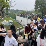 148.01万人次！南湖新区暑期旅游“热”力十足