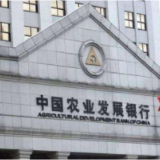 2024实干作答 2025奋楫启航——农发行岳阳市分行召开2024年度述职汇报会