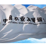 农发行岳阳县支行荣获2024年度综合先进单位荣誉