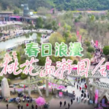 第四届湖南旅游发展大会丨视频：这个春天，来临湘国际垂钓中心桃花岛，邂逅一场属于你的浪漫