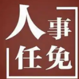 岳阳市政府最新人事任免