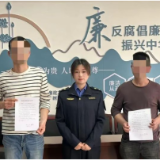 车辆肆意破坏草地，城管部门迅速行动严惩不贷