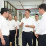 谢卫江调研督导群众身边不正之风和腐败问题集中整治等工作