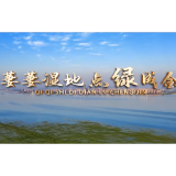 视频丨与理有岳·新思想青年说（第二辑）第十三期：萋萋湿地 点绿成金