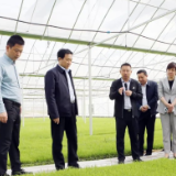 李挚赴君山区督导调研省旅发大会项目建设和春耕生产等工作
