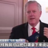 美白宫幕僚长拒绝戴口罩接受采访：我是不会戴着口罩说话的