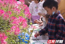 湖南省森林植物园：花样民乐庆重阳