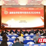 湖南省侨联青年委员会2020年会在长沙召开