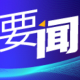 湾沚区又现鱼跃鸟翔