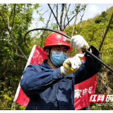 工作途中接到一个求助电话,他们救了一塘小龙虾