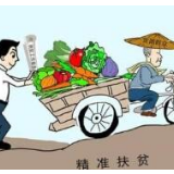 重庆：产业扶贫带动村民持续增收