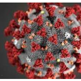 中国科学家：病毒溯源这一难题需各国科学家深入研究