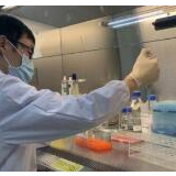 工信部：中国新冠病毒检测试剂试盒日产能500万人份