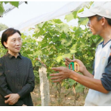 李微微赴株洲调研：为农村人才队伍建设营造更好氛围