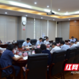 湘江新区：做好疫情防控 守好安全生产底线 发挥好内部审计作用